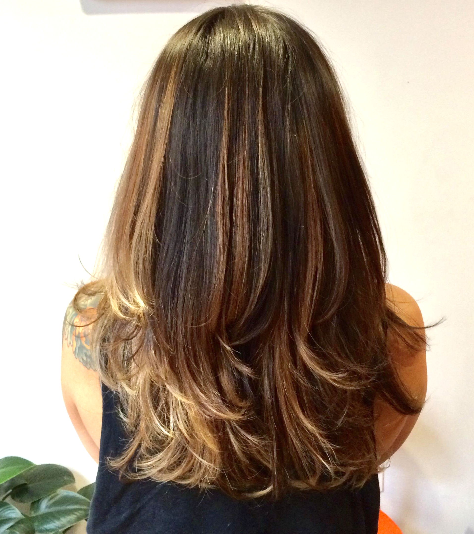 Blonde Highlights Miami